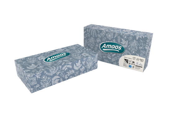 Amoos Regular